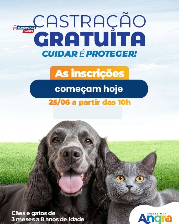 Inscrições para a castração gratuita em Angra dos Reis estão abertas